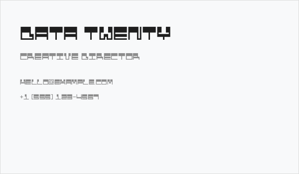 Data Twenty Business Card