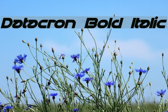 Datacron Bold Italic Font examples