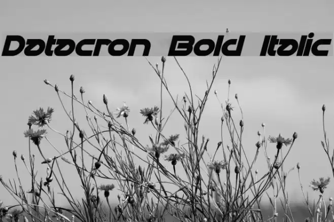 Datacron Bold Italic Fuentes examples