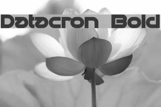Datacron Bold Font examples