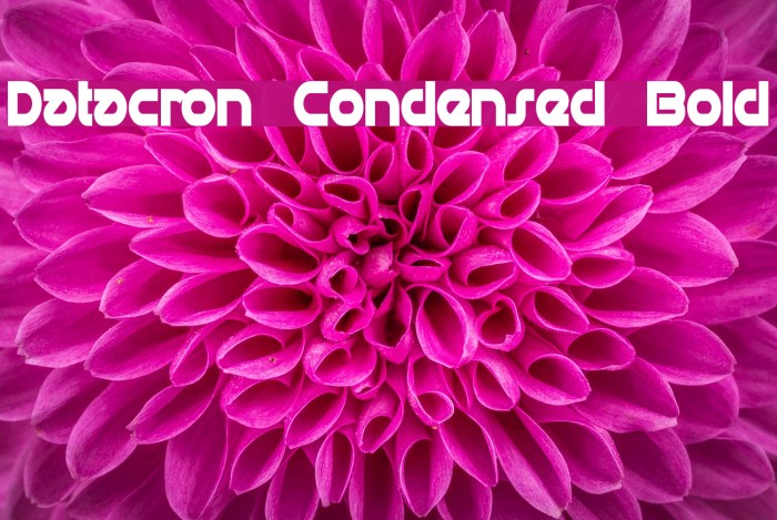 Datacron Condensed Bold Font examples