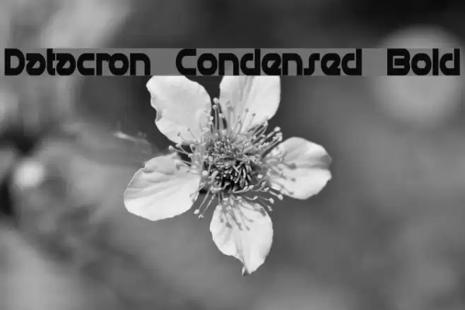 Datacron Condensed Bold Font examples