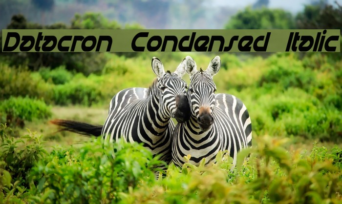 Datacron Condensed Italic Fuentes examples