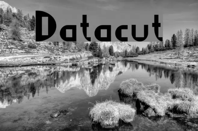 Datacut フォント examples