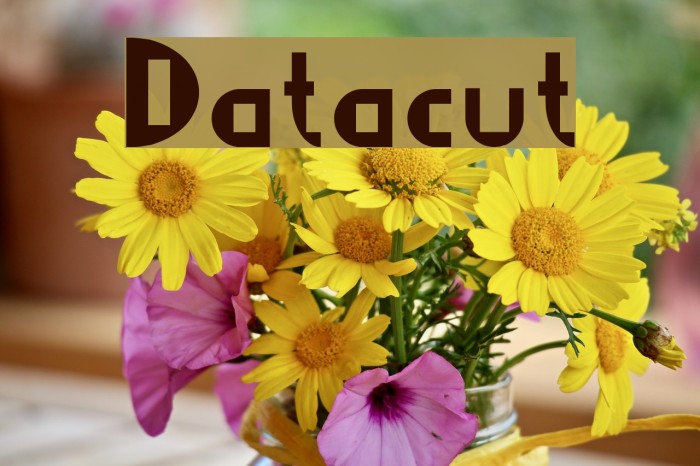 Datacut Font examples
