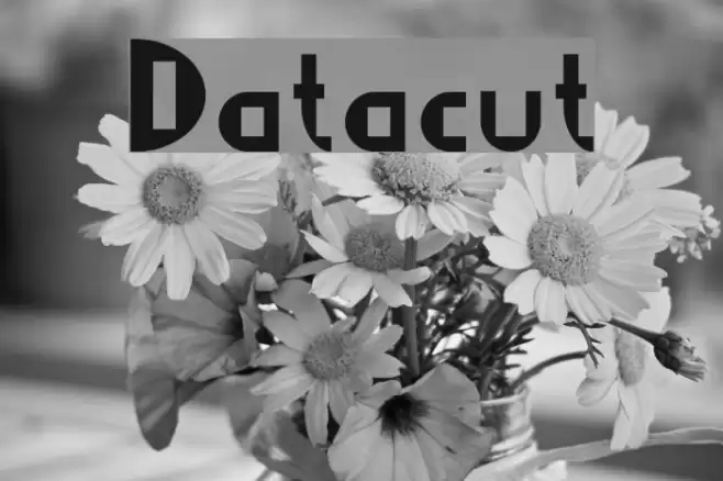Datacut フォント examples
