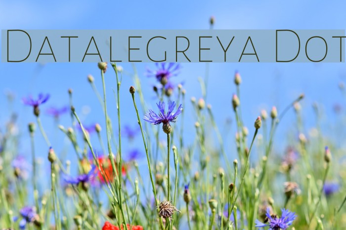 Datalegreya Dot Font examples