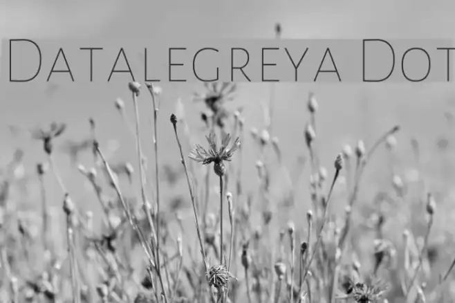 Datalegreya Dot Example 2