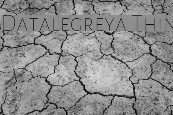 Datalegreya Thin フォント examples