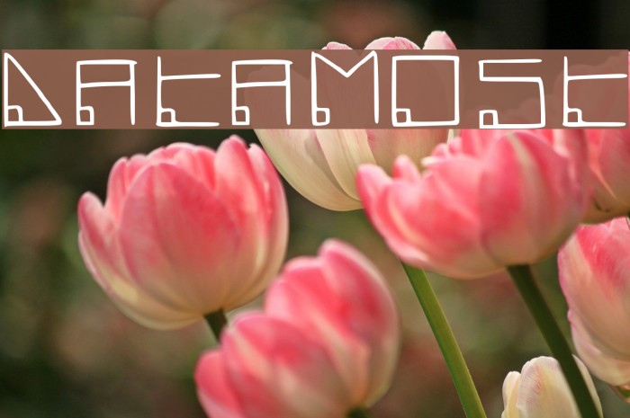 Datamost फ़ॉन्ट examples