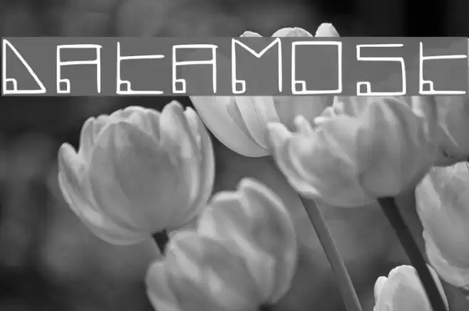 Datamost Font examples