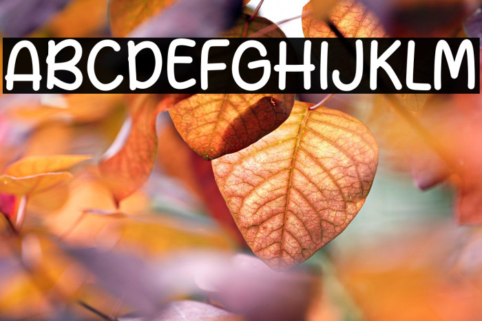 Datang Story Example 2