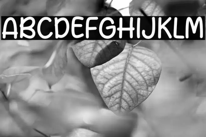 Datang Story Caratteri examples