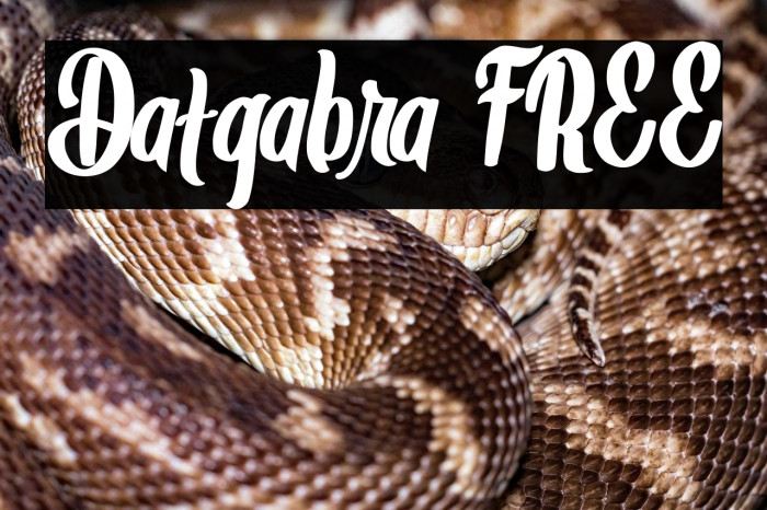 Datgabra FREE Example 3