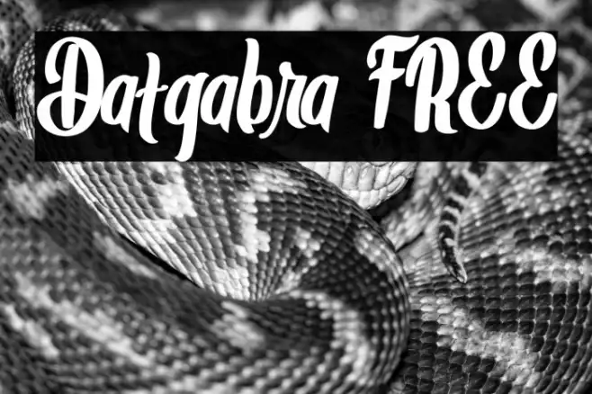 Datgabra FREE Example 3