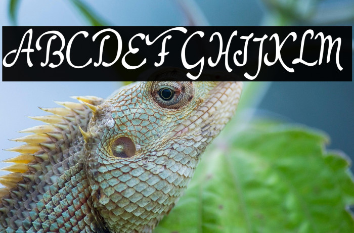 Dathyn Demo Example 2