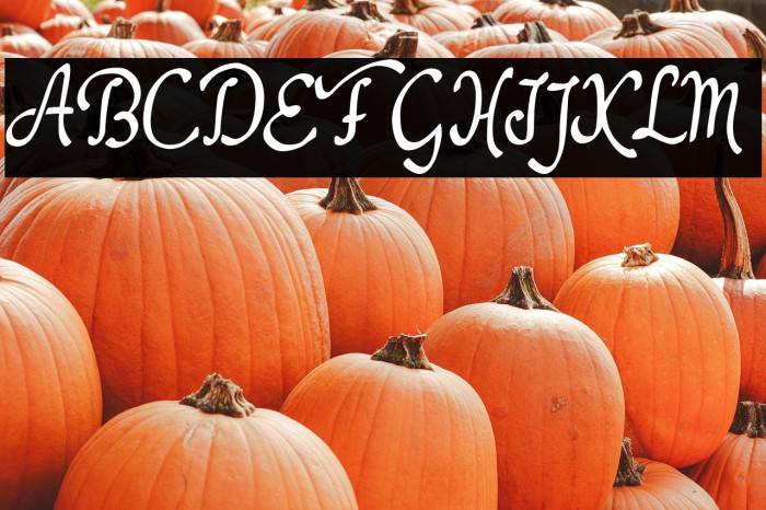 Dathyn Demo Example 3