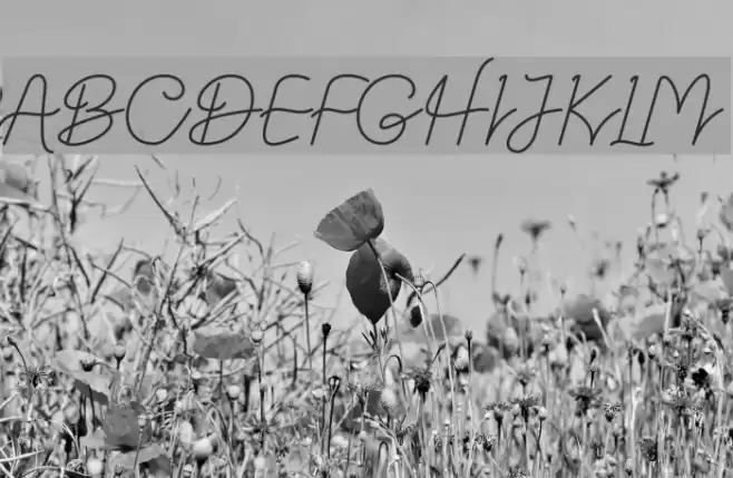 Datten Font examples