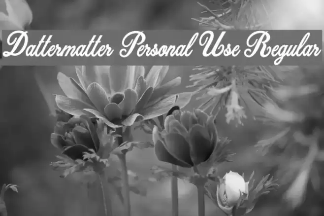Dattermatter Personal Use Regular Шрифта examples