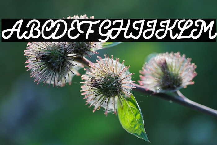 Dattge Hurty Example 2