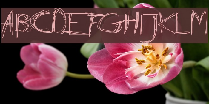 Daubed Font examples