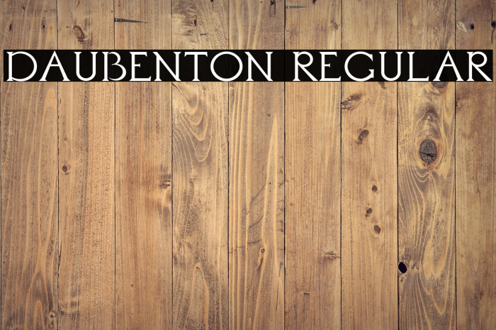 Daubenton Regular Example 1