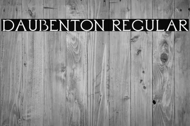 Daubenton Regular Example 1