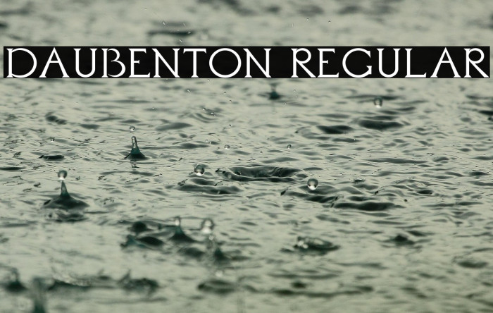 Daubenton Regular Example 2