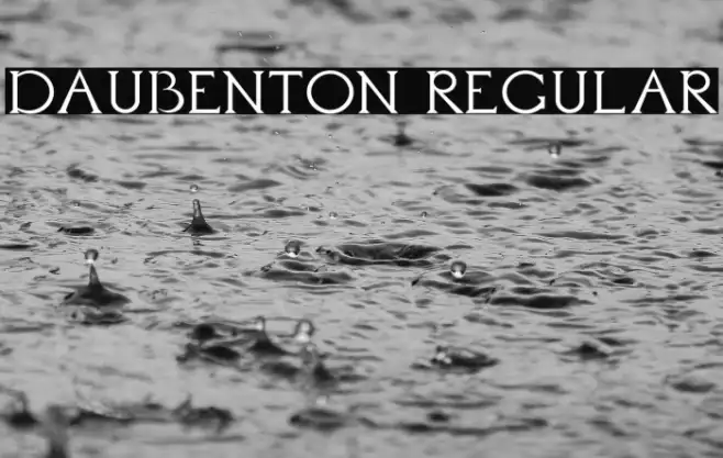 Daubenton Regular Example 2