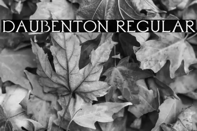 Daubenton Regular Example 3