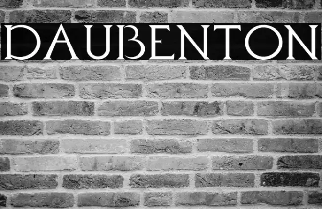 Daubenton Example 2