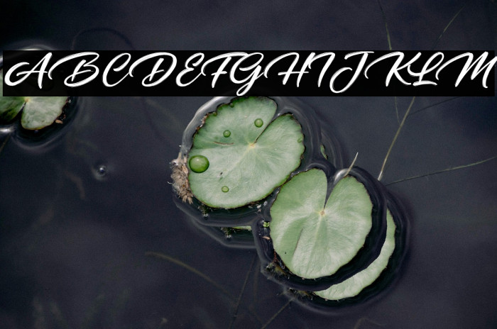 Daughter of Fortune Example 1