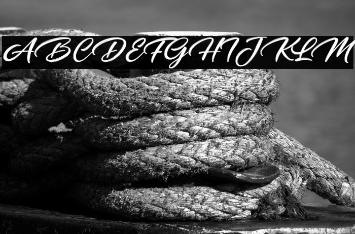 Daughter of Fortune Example 2