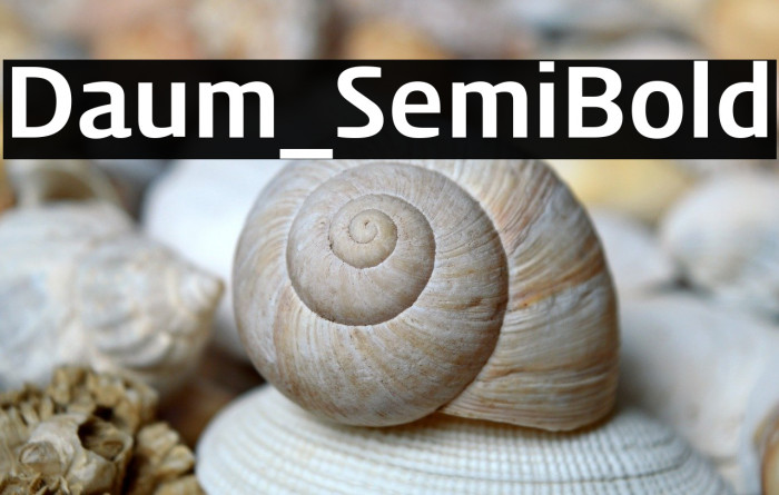Daum_SemiBold Example 2