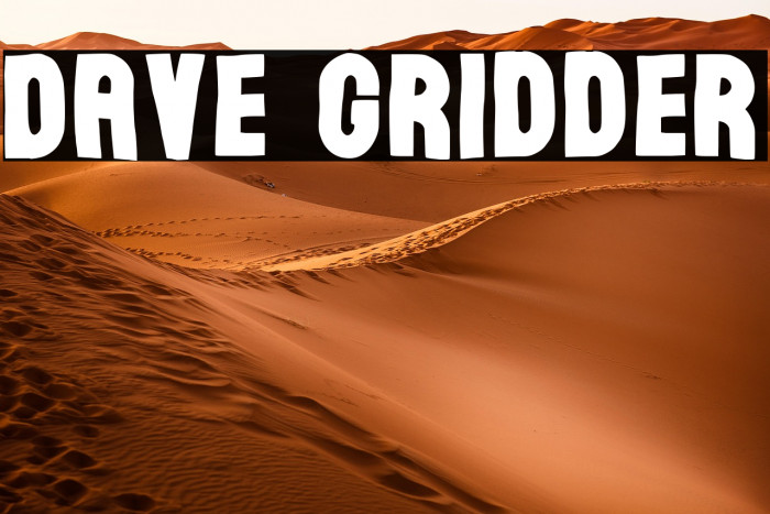 Dave Gridder Example 1