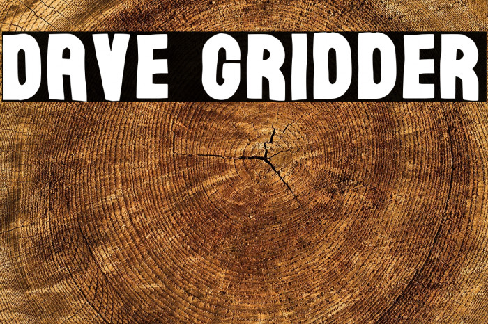 Dave Gridder Example 2