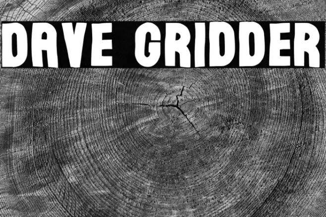 Dave Gridder Example 2