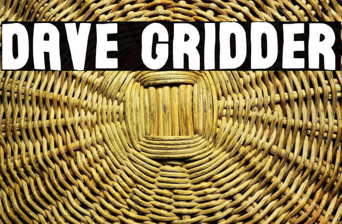 Dave Gridder Example 3