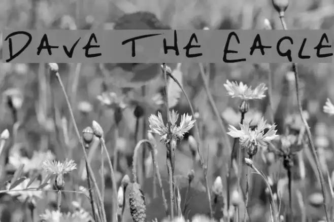 Dave the Eagle Font examples