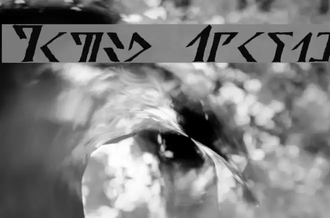 Davek Italic Font examples