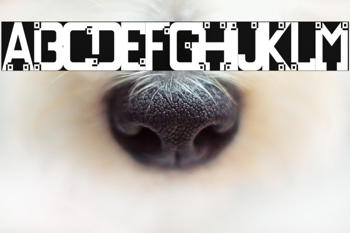 Davenhall Demo Example 3