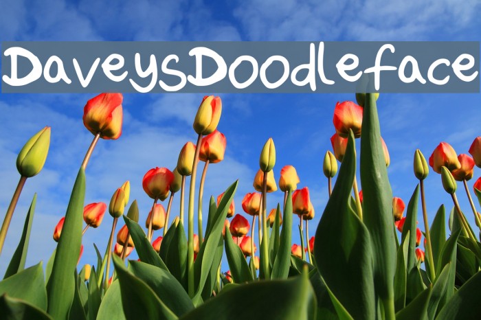 DaveysDoodleface Font examples