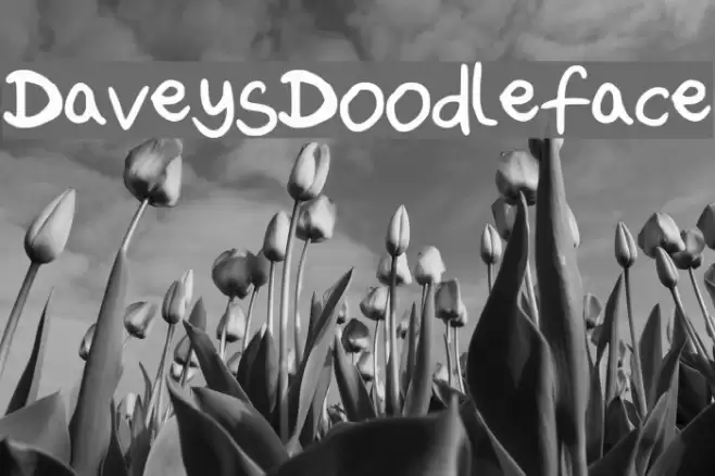 DaveysDoodleface Font examples