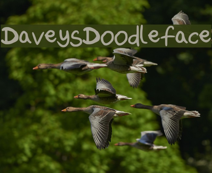 DaveysDoodleface Font examples