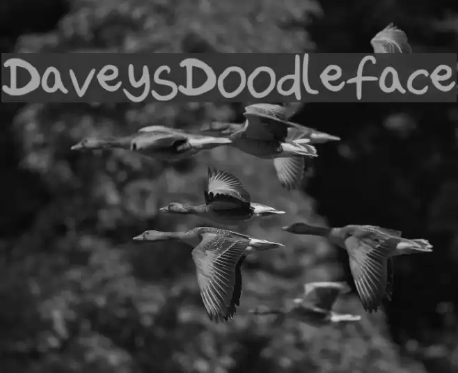 DaveysDoodleface Font examples