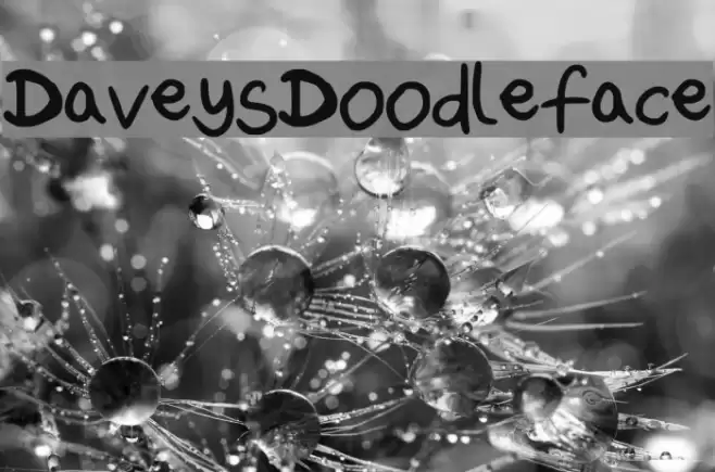 DaveysDoodleface Font examples