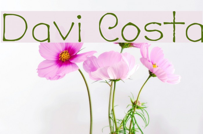 Davi Costa Example 2