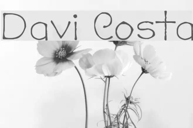 Davi Costa Font examples