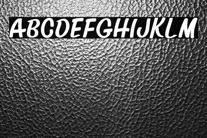 David And SovhieDEMO Sans Example 3