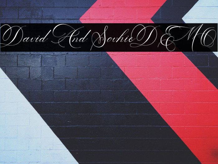 David And SovhieDEMO Example 1